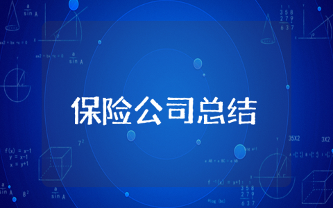 保险公司上半年总结与下半年工作计划 保险公司半年度总结报告范文大全最新