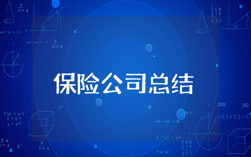 保险公司上半年总结