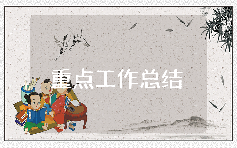 上半年重点工作总结