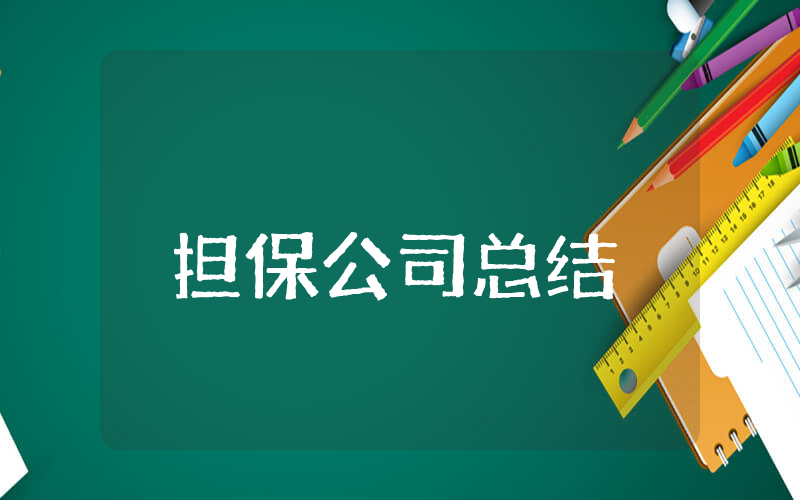 担保公司上半年总结