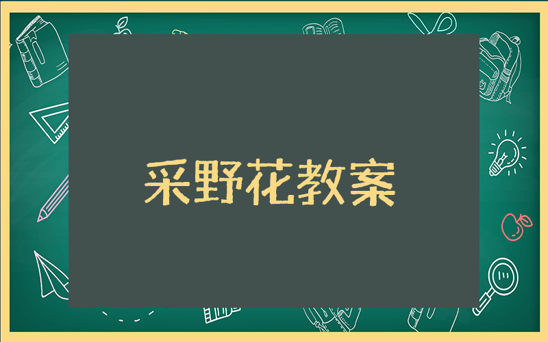采野花教案中班