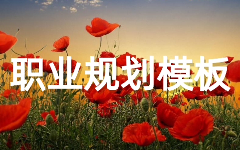 个人职业规划模板 面试职业规划万能模板