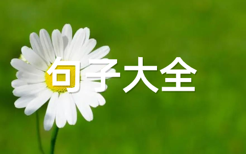 双十一搞笑朋友圈文案说说句子大全(通用60句)