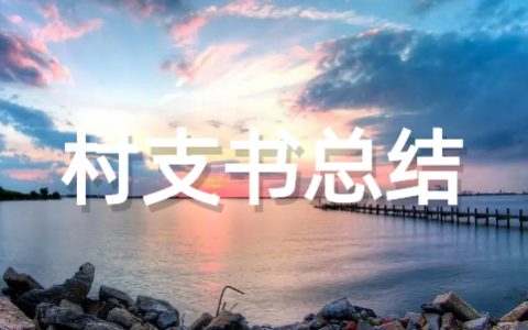 村支书个人工作总结 农村村支书年终总结范文