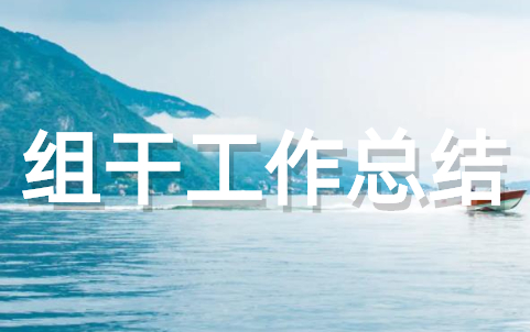 组工干部个人工作总结 优秀组工干部工作总结范文