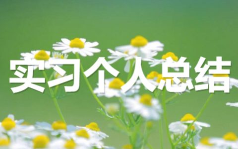 关于学生顶岗实习个人总结大全（精选20篇）