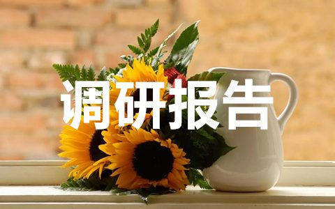 调研报告模板及范文精选10篇