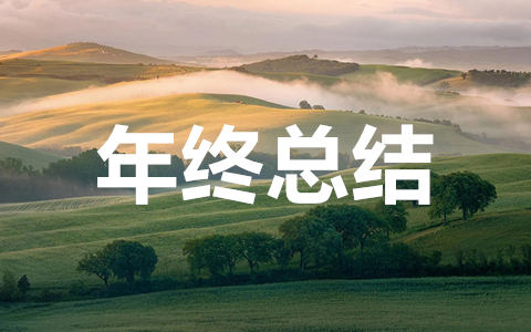 2025年个人年终总结报告大全（通用25篇）