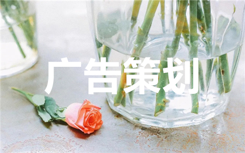 广告策划案格式范文参考（优秀案例5篇）