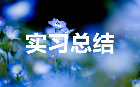 2025大学生实习总结报告通用范文（精选30篇）