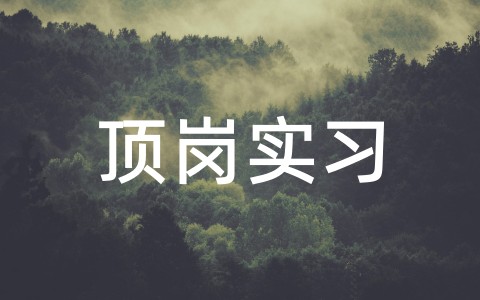 顶岗实习报告最新精选25篇