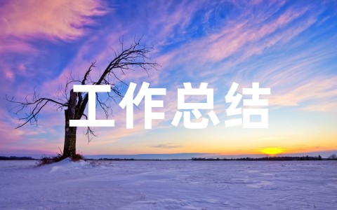 全新个人工作总结范文精选23篇