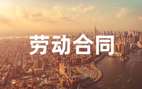 2025劳动合同合集（通用20篇）