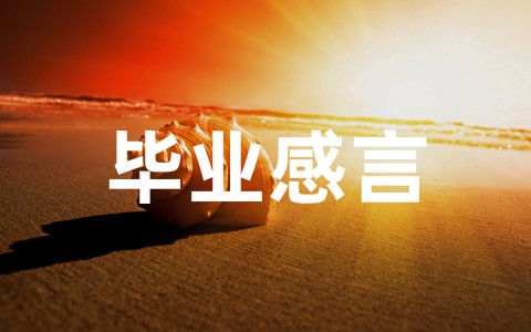 小学六年级毕业感言(精选15篇)