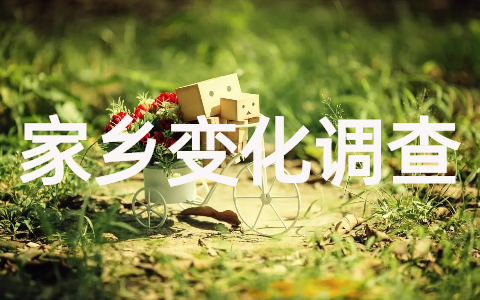 家乡变化调查报告范文(完整版20篇)