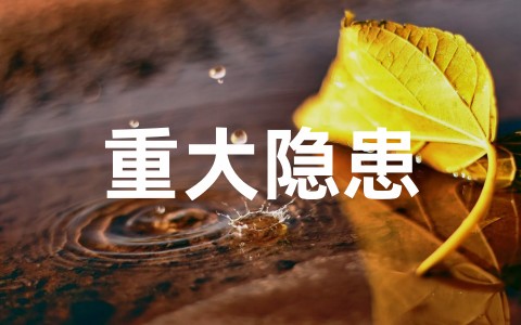 重大隐患治理方案内容范文(通用20篇)