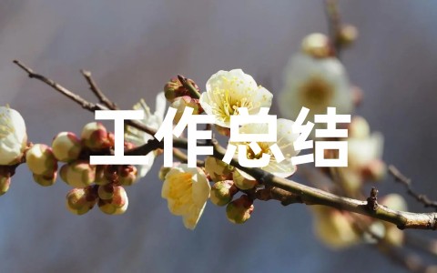 财务年度工作总结及明年工作计划通用范文（精选20篇）