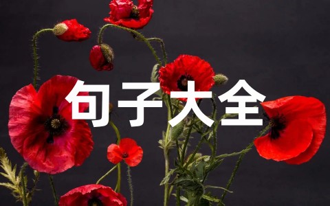 全新形容看淡一些人和事的句子大全(精选50句)