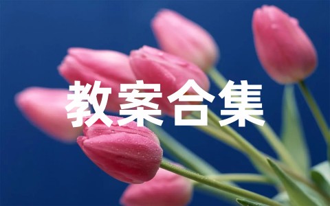 幼儿园中班体育活动教案合集(精选20篇)