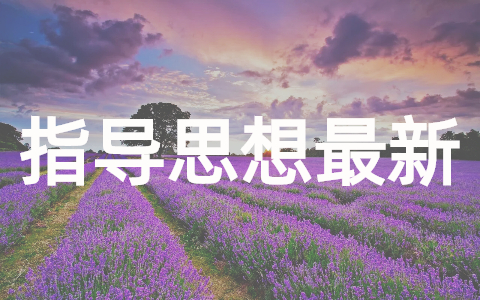 教师指导思想计划（完整版20篇）