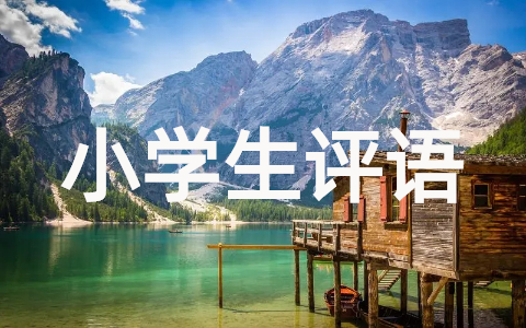 小学生期末评语100条简短