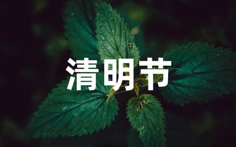 关于清明节祭扫工作方案及流程通用范文(精选15篇)