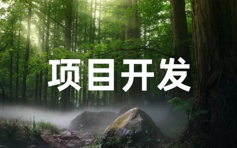 最新项目开发计划书范文大全(精选20篇)