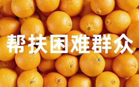 最新帮扶困难群众简报范文大全(精选20篇)