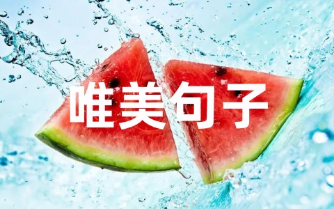 推荐致自己本命年的唯美句子合集（精选66句）