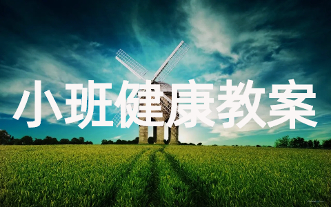 幼儿园小班健康教育教案合集
