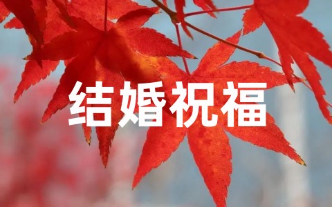 祝朋友儿子结婚祝福短信大全(精选66句)