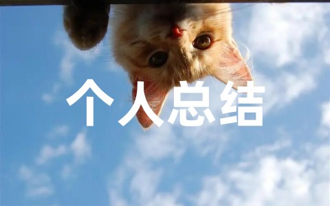 最新体育教师工作年度个人总结（精选16篇）