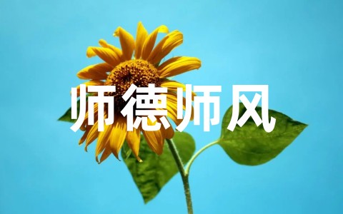 幼儿园教师个人师德师风总结范文(精选21篇)