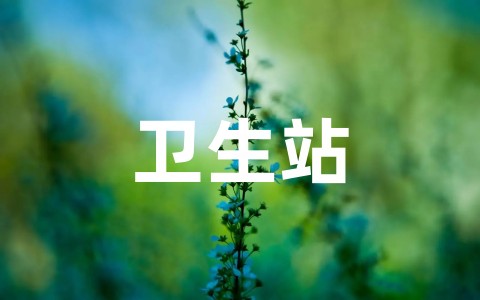 卫生站年度工作计划总结范文(精选18篇)