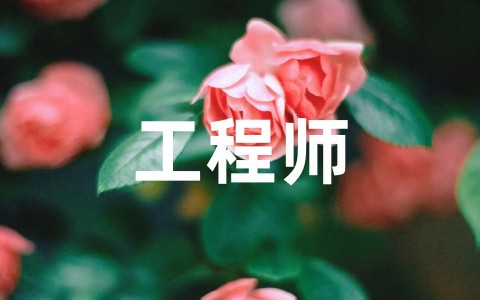 工程师个人专业技术工作总结（精选16篇）