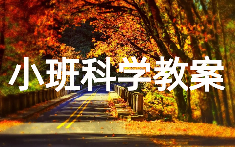 小班科学教案大全(30篇)