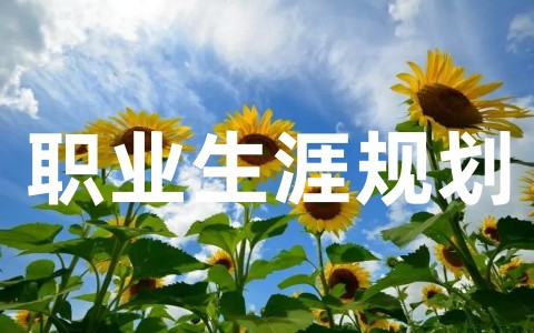 大学生个人优秀职业生涯规划(通用19篇)