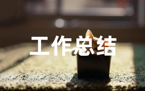 最新单位工作总结个人范文 单位工作总结格式模板