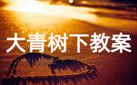 大青树下的小学教案合集