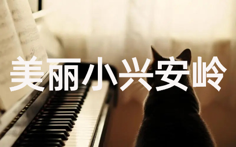 美丽的小兴安岭教案完整版