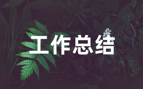 小学教师班主任工作总结 小学优秀班主任工作概述