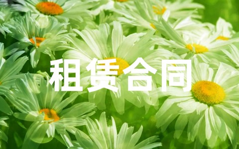 房屋租赁合同模板范本 租房协议书合同标准版