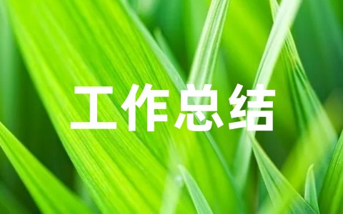 大学毕业生个人实习工作总结(精选17篇)