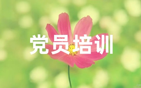 2025党员培训心得体会300字范文 党课培训个人感悟大全