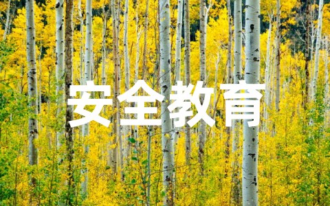 学校森林防火安全教育教案 森林防火安全知识教育