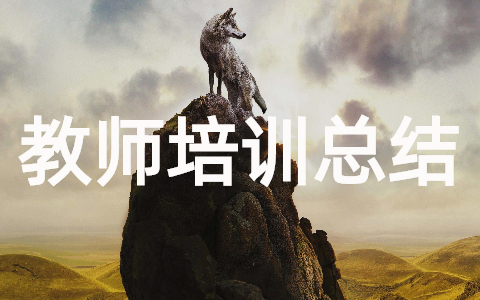 骨干教师培训总结及工作总结(通用19篇)