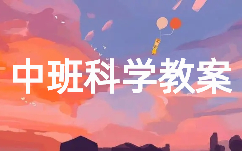 中班科学教案《沉与浮》大全