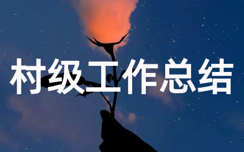 2025年村级工作总结完整版