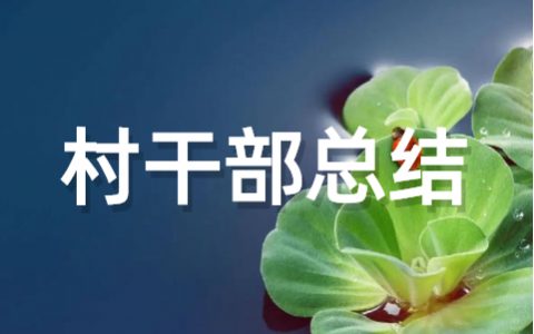 村干部个人工作总结范文（通用17篇）