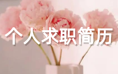 个人求职简历模板范文大全（精选15篇）